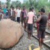 Railway's 'Gajraj' fails! , झारखंड में ट्रेन से कटकर हाथी की मौत, ऋषिकेश में रोकी गयी ट्रेन