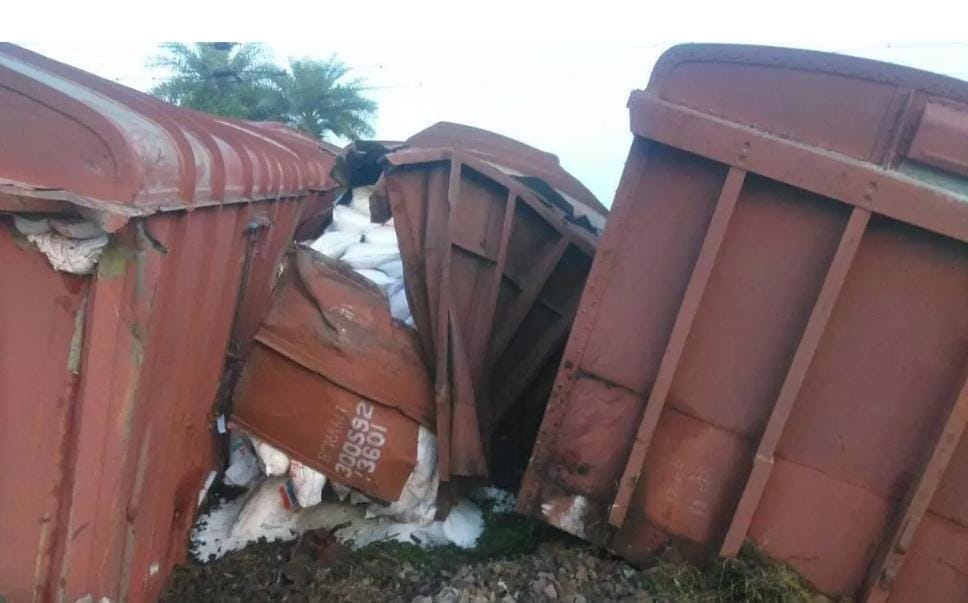 Trains_derailed : भुवनेश्वर में मालगाड़ी बेपटरी, छत्तीसगढ़ में इंजन पेड़ से टकराया